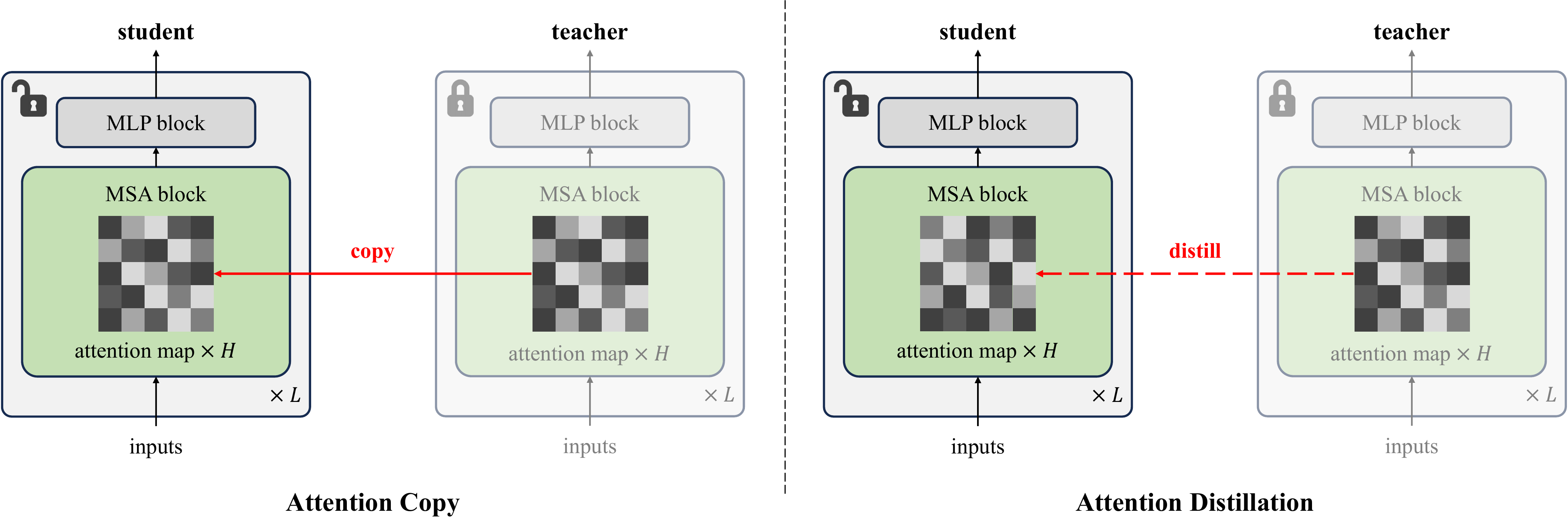 Attention Copy and Attention Distillation